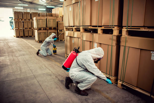 Best Wildlife Control Services  in Owings, MD