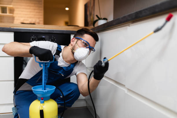 Best Best Pest Control Companies  in Owings, MD