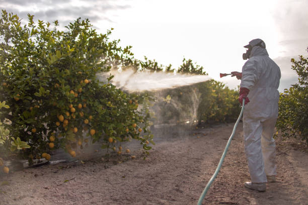 Best Cockroach Control Services  in Owings, MD