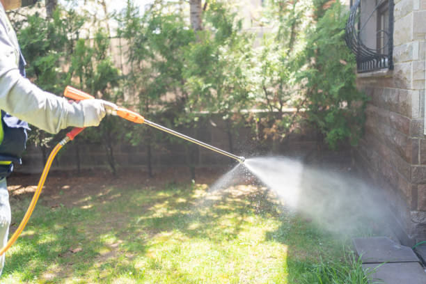 Trusted Owings, MD Pest Control Experts