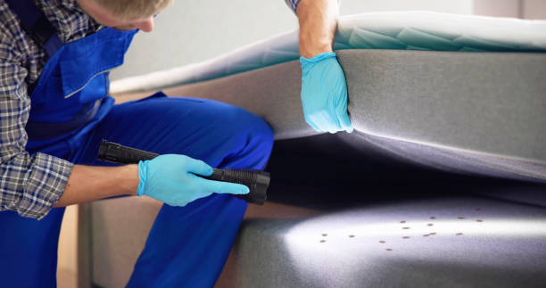 Best Commercial Pest Control Services  in Owings, MD