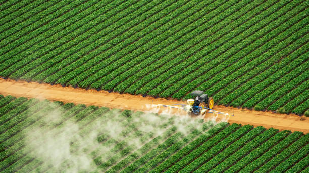 Best Pest Control Treatment  in Owings, MD
