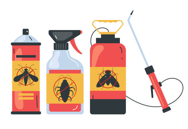 Best Spider Control Near Me  in Owings, MD